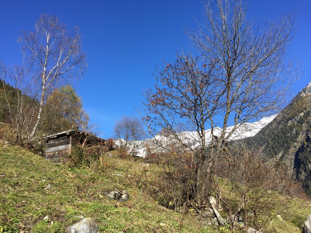 Appart Kalsberger Kaunertal Pokój zdjęcie